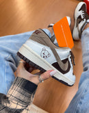 Nike Dunk Low Pro Teddy
