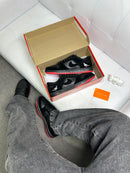 Nike Dunk SB - Black Pigeon