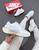 Nike Zoom Pegasus 41 bandeira - Branco/Prata