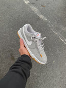 Dunk Low Pro Luxo - Cinza